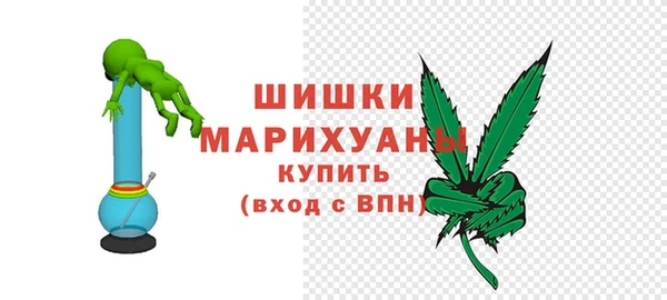 PSILOCYBIN Аркадак