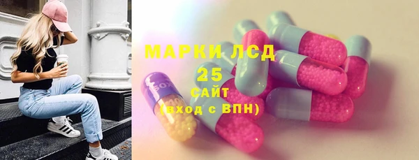 PSILOCYBIN Аркадак