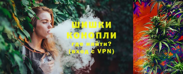 сатива Богданович