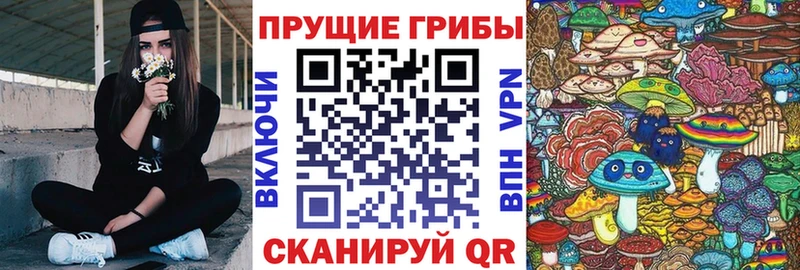 Псилоцибиновые грибы прущие грибы  Грайворон 