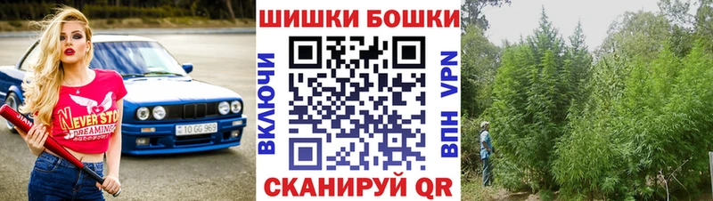 Каннабис планчик  наркота  Грайворон 